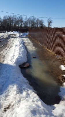 20170323_085527.jpg