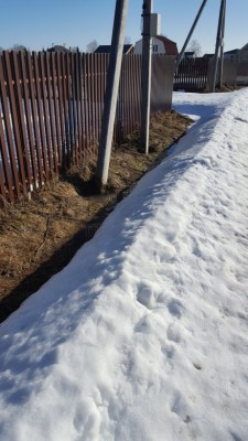 20170323_085713.jpg