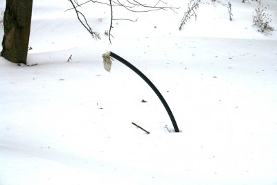 IMG_6012.JPG
