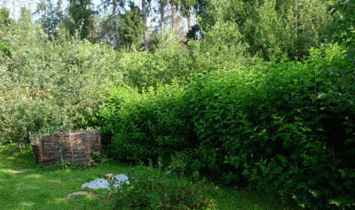 P1160247abab.gif