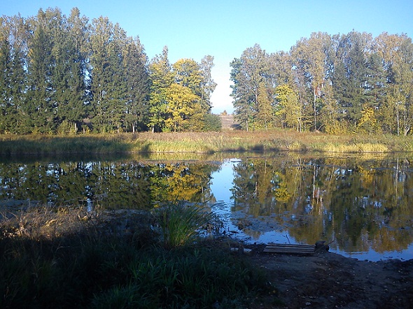 Залив, вид прямо..jpg (153.97 КБ, 163353 просмотра) Залив, вид прямо..jpg