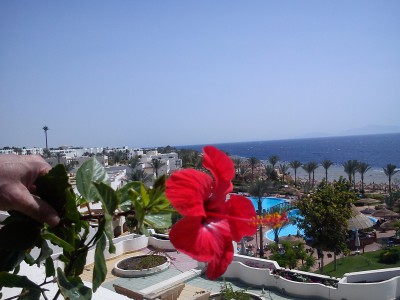 DSC07623.jpg (641.37 КБ, 18049 просмотров) DSC07623.jpg