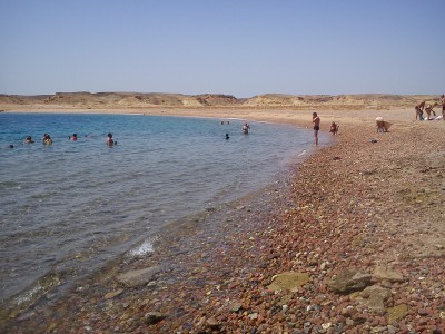 DSC07639.jpg (1003.19 КБ, 18080 просмотров) DSC07639.jpg