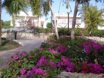 DSC07697.jpg (1.21 МБ, 18079 просмотров) DSC07697.jpg