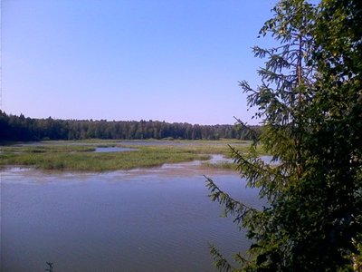 истринское водохранилище.jpg (32.78 КБ, 331270 просмотров) истринское водохранилище.jpg