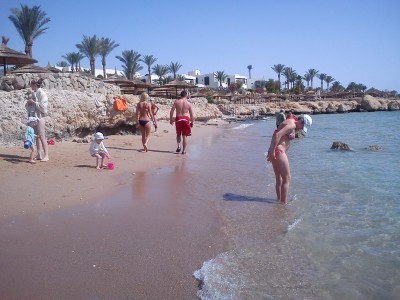 DSC07668.jpg (856.52 КБ, 18079 просмотров) DSC07668.jpg