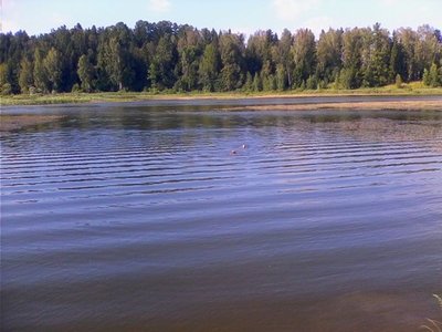 истринское водохранилище 2.jpg (32.57 КБ, 335265 просмотров) истринское водохранилище 2.jpg