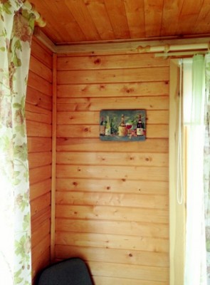 IMG_0203 (443x600) (428x580).jpg (145.4 КБ, 25345 просмотров) IMG_0203 (443x600) (428x580).jpg