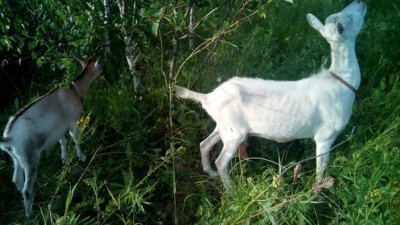 5Vzl7UgLj8s.jpg (70.24 КБ, 2848 просмотров) 5Vzl7UgLj8s.jpg