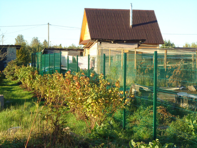 Забор Fensys.png (237.31 КБ, 24353 просмотра) Забор Fensys.png