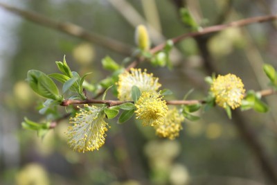 image.jpg (81.27 КБ, 32315 просмотров) image.jpg