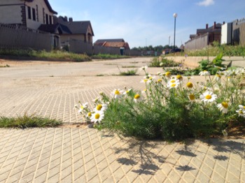 IMG_1613.jpg (44.28 КБ, 29060 просмотров) IMG_1613.jpg